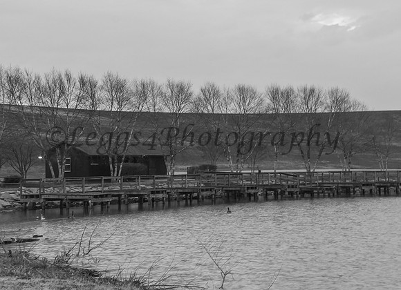 Mount Trashmore piers