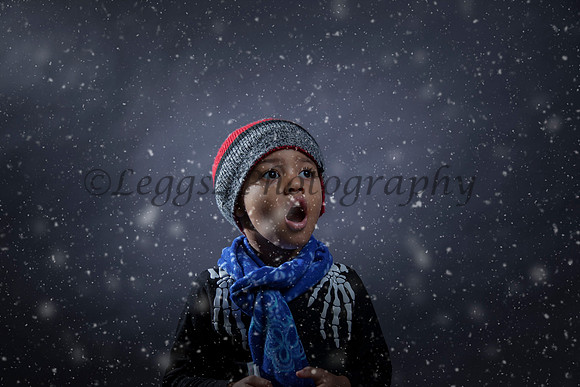 Wonders of Snow