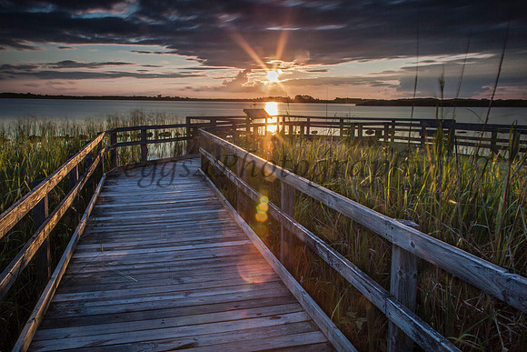 Walk with the Sun