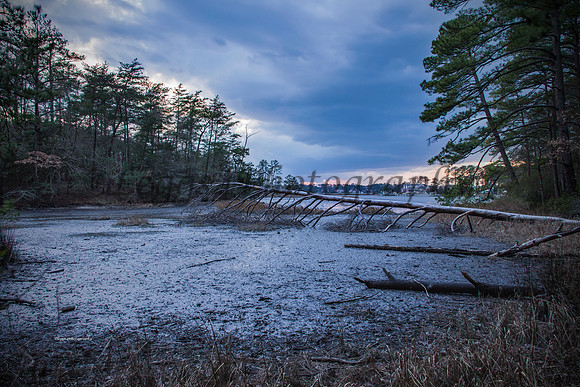 Waiting for the Tide.