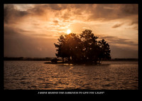 Sun burst over trees, Gaston Lake