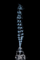 Forged backbone from ice