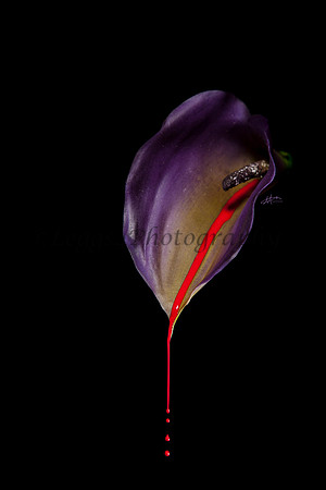 Don't hurt life
