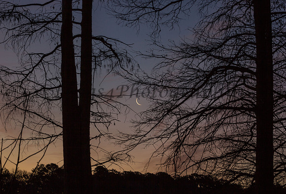 Stompy Lake late night Moon